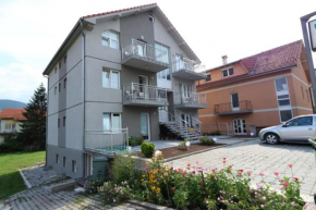 Apartmani Iva i Luka Sokobanja